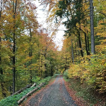 Welcome Apartment Winterberg