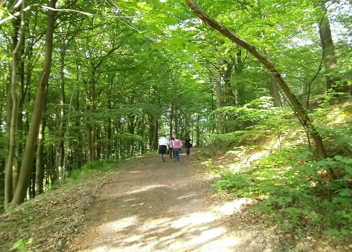 Welcome Apartman Winterberg